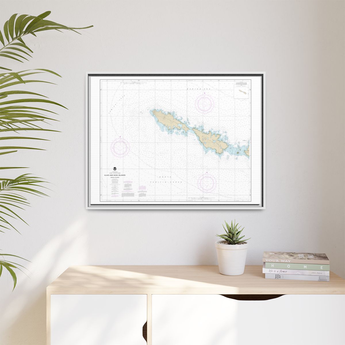 Chart 16435 Semichi Islands Alaid and Nizki Islands - NOAA Nautical Chart Floating Frame Canvas | 32" x 24" | 40" x 30" - White context-1