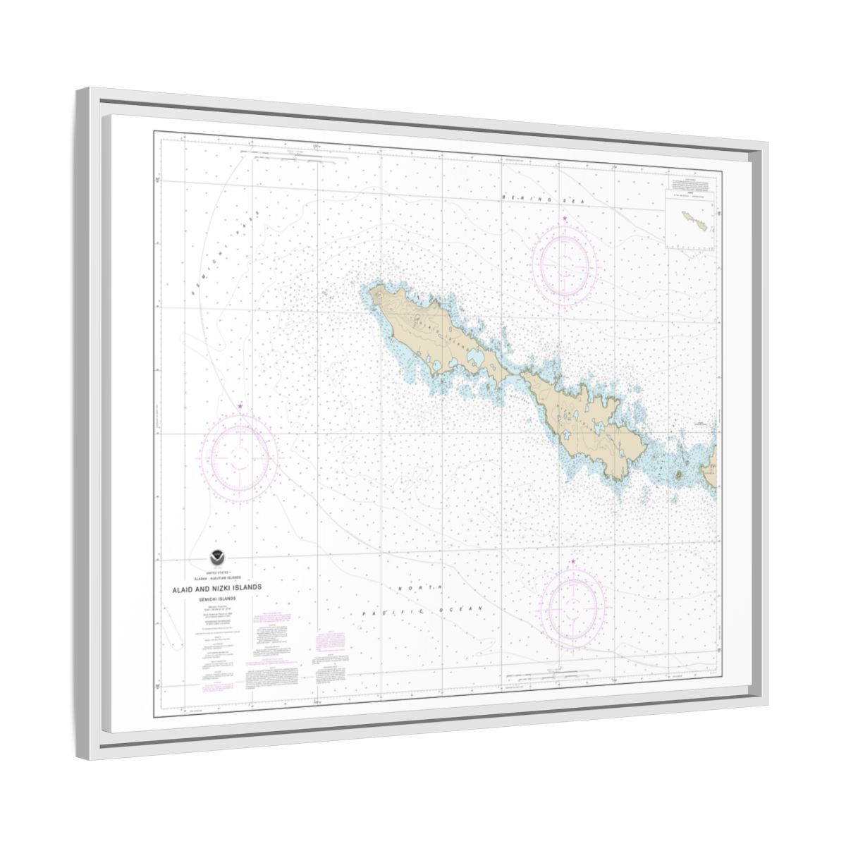 Chart 16435 Semichi Islands Alaid and Nizki Islands - NOAA Nautical Chart Floating Frame Canvas | 32" x 24" | 40" x 30" - White side