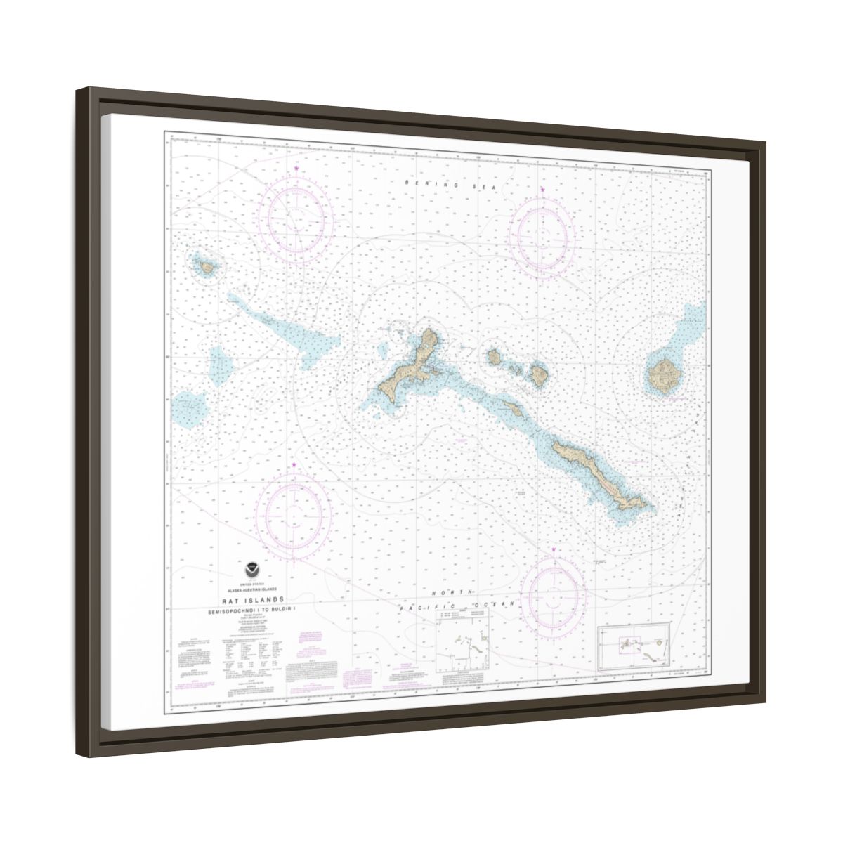 Chart 16440 Rat Islands Semisopochnoi Island to Buldir l. - NOAA Nautical Chart Floating Frame Canvas | 32" x 24" | 40" x 30" - Espresso side