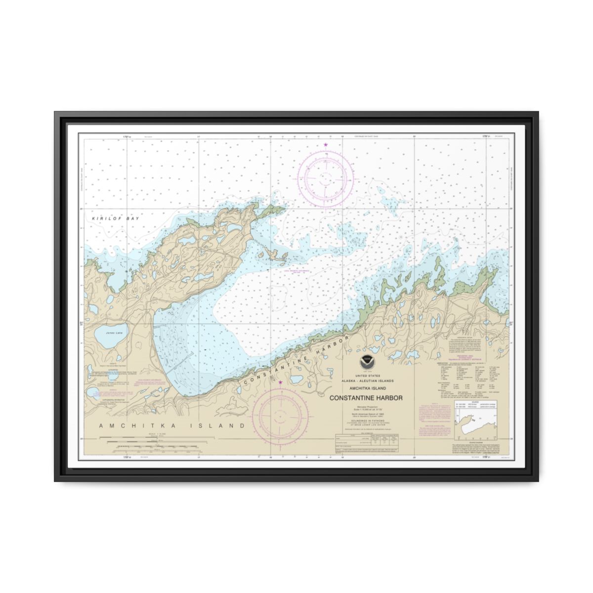 Chart 16446 Constantine Harbor, Amchitka Island - NOAA Nautical Chart Floating Frame Canvas | 32" x 24" | 40" x 30" - Black front