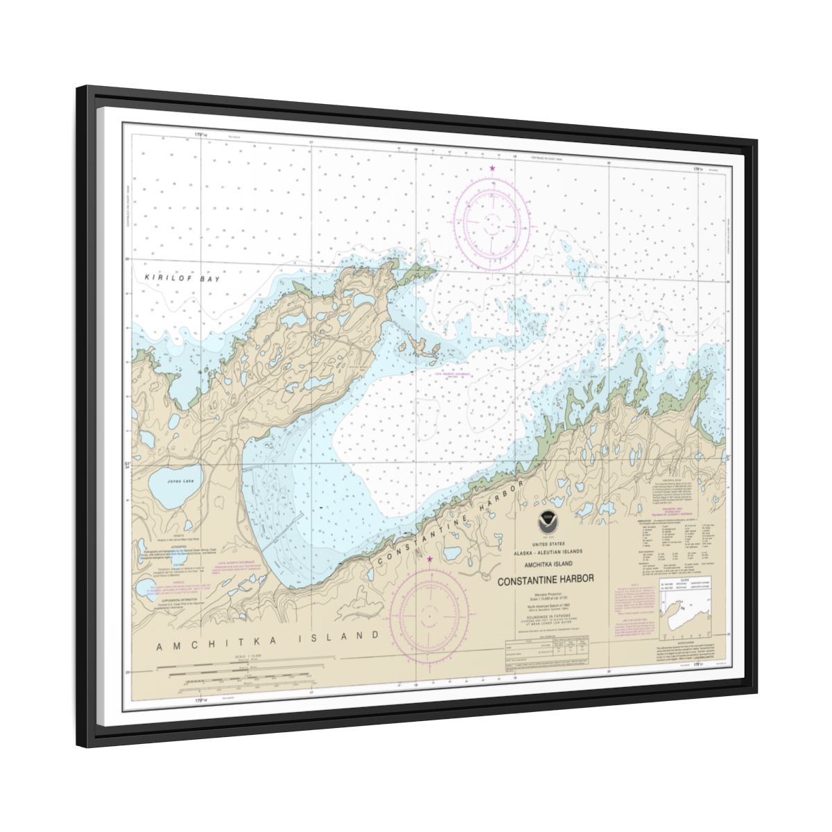 Chart 16446 Constantine Harbor, Amchitka Island - NOAA Nautical Chart Floating Frame Canvas | 32" x 24" | 40" x 30" - Black side