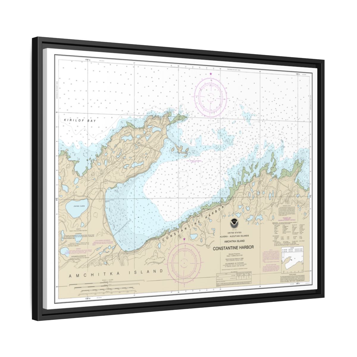 Chart 16446 Constantine Harbor, Amchitka Island - NOAA Nautical Chart Floating Frame Canvas | 32" x 24" | 40" x 30" - Black side