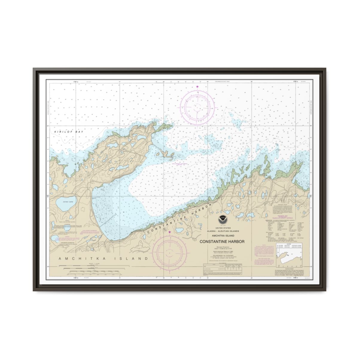 Chart 16446 Constantine Harbor, Amchitka Island - NOAA Nautical Chart Floating Frame Canvas | 32" x 24" | 40" x 30" - Espresso front