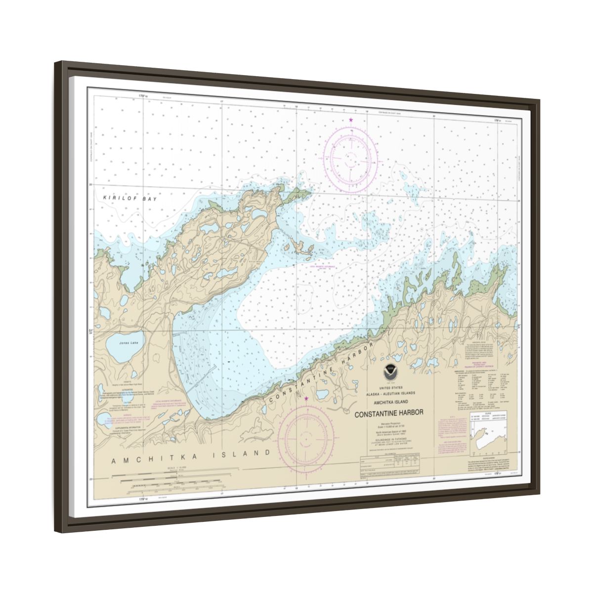Chart 16446 Constantine Harbor, Amchitka Island - NOAA Nautical Chart Floating Frame Canvas | 32" x 24" | 40" x 30" - Espresso side
