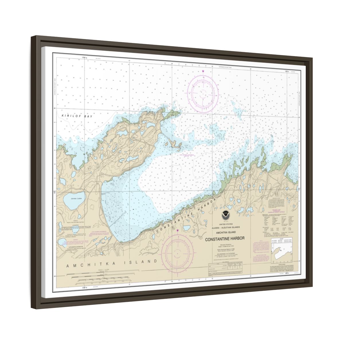 Chart 16446 Constantine Harbor, Amchitka Island - NOAA Nautical Chart Floating Frame Canvas | 32" x 24" | 40" x 30" - Espresso side