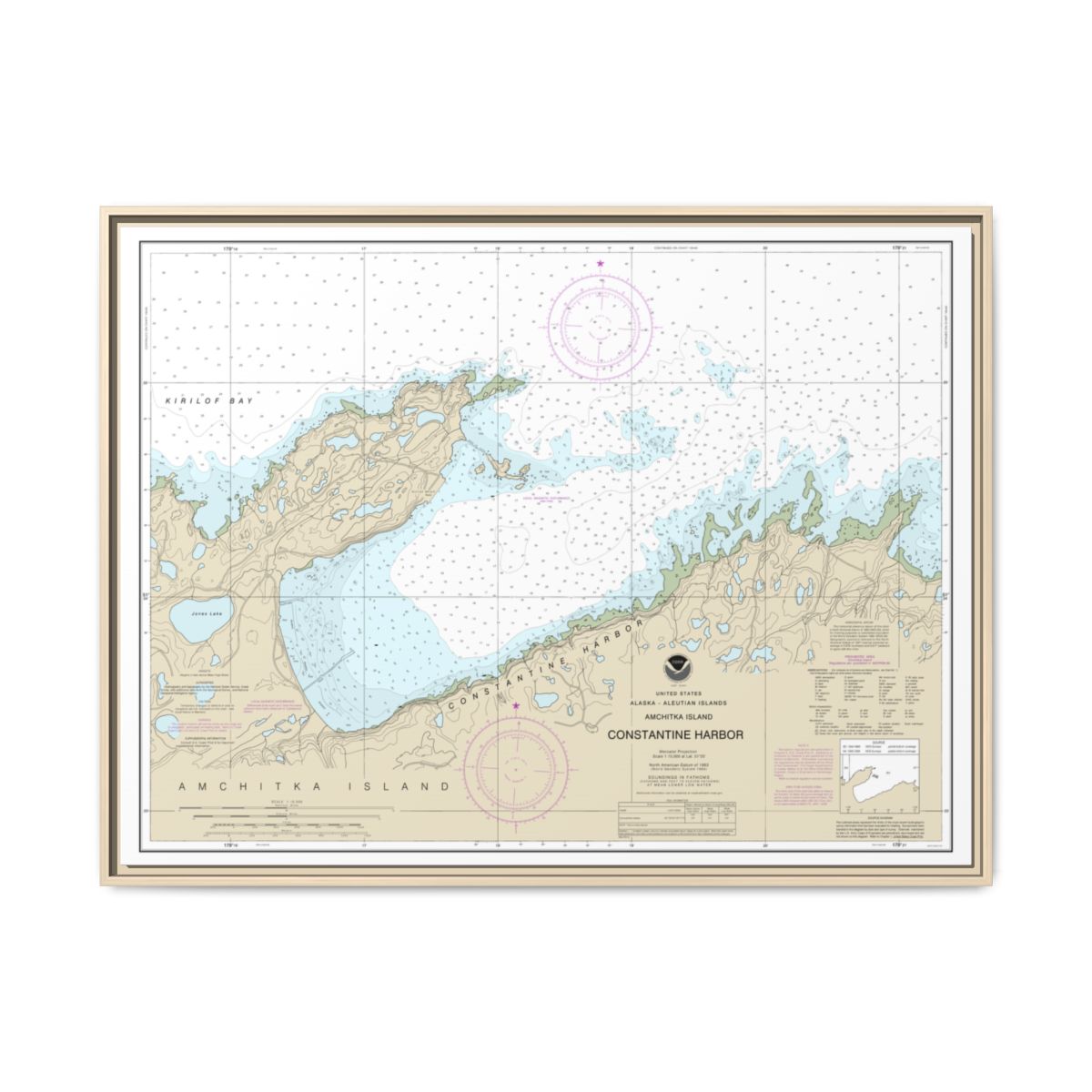 Chart 16446 Constantine Harbor, Amchitka Island - NOAA Nautical Chart Floating Frame Canvas | 32" x 24" | 40" x 30" - Natural front