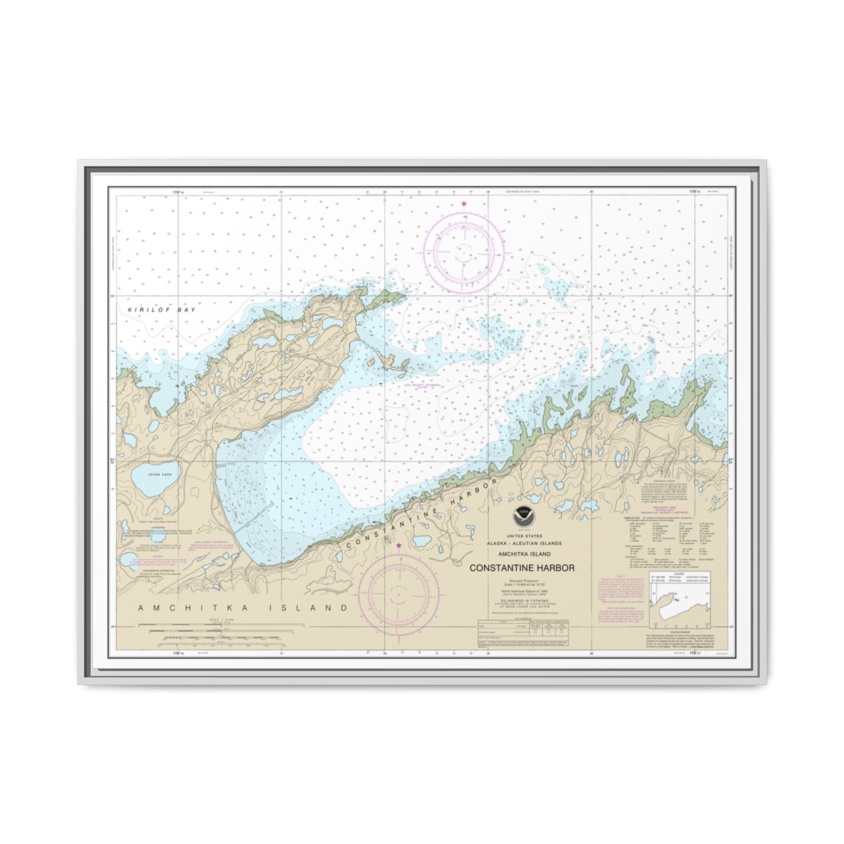 Chart 16446 Constantine Harbor, Amchitka Island - NOAA Nautical Chart Floating Frame Canvas | 32" x 24" | 40" x 30" - White front