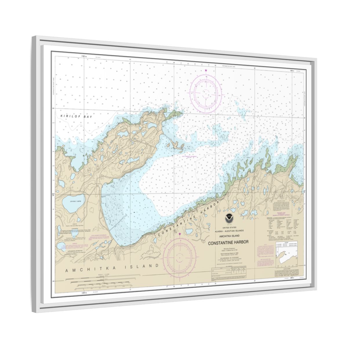 Chart 16446 Constantine Harbor, Amchitka Island - NOAA Nautical Chart Floating Frame Canvas | 32" x 24" | 40" x 30" - White side