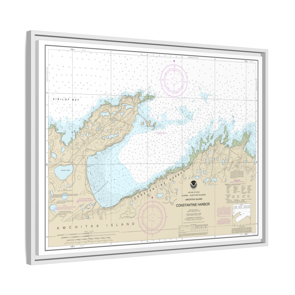 Chart 16446 Constantine Harbor, Amchitka Island - NOAA Nautical Chart Floating Frame Canvas | 32" x 24" | 40" x 30" - White side