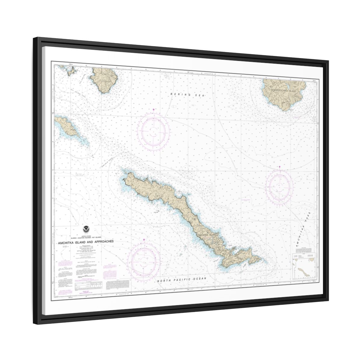 Chart 16450 Amchitka Island and Approaches - NOAA Nautical Chart Floating Frame Canvas | 32" x 24" | 40" x 30" - Black side