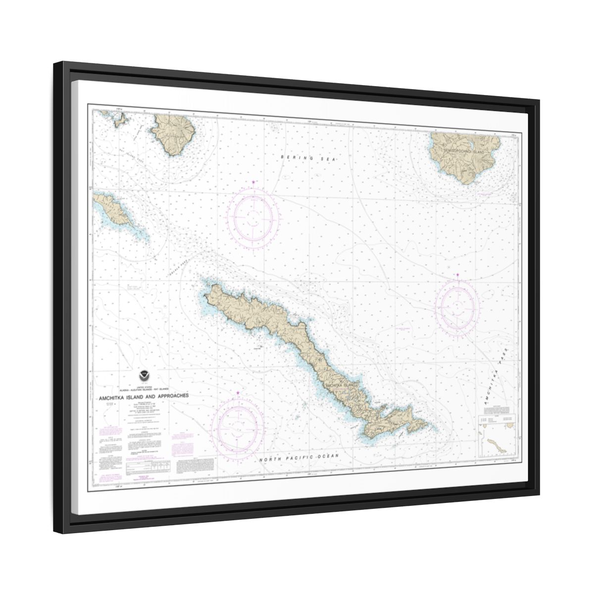 Chart 16450 Amchitka Island and Approaches - NOAA Nautical Chart Floating Frame Canvas | 32" x 24" | 40" x 30" - Black side
