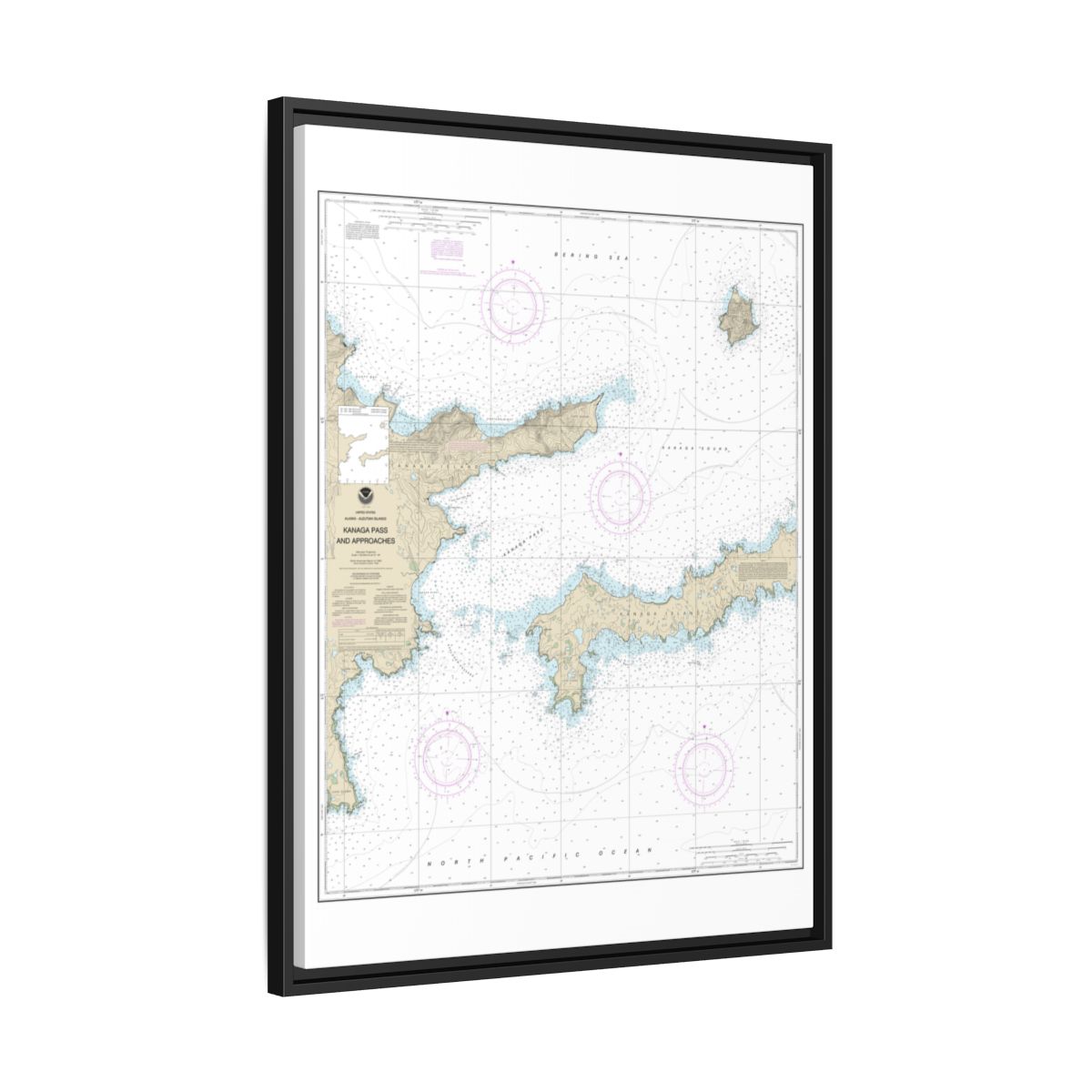 Chart 16463 Kanaga Pass and approaches - NOAA Nautical Chart Floating Frame Canvas | 24" x 32" | 30" x 40" - Black side