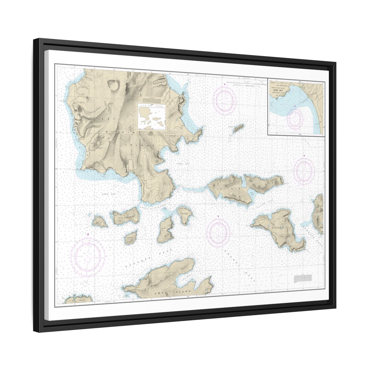 Chart 16478 Tagalak Island to Great Sitkin Island;Sand Bay-Northeast Cove - NOAA Nautical Chart Floating Frame Canvas | 32" x 24" | 40" x 30" - Black side