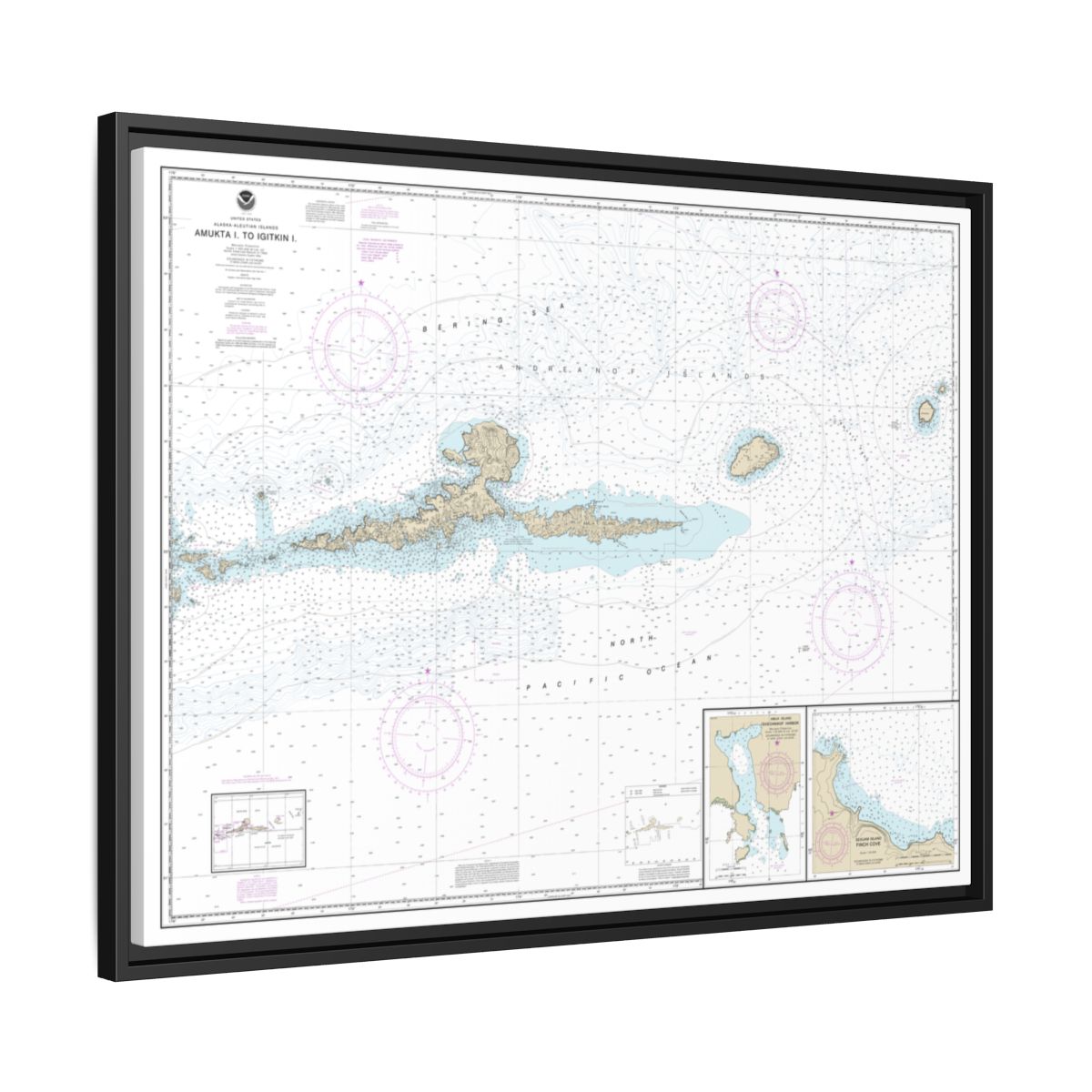 Chart 16480 Amkta Island to Igitkin Island;Finch Cove Seguam Island;Sviechnikof Harbor, Amilia Island - NOAA Nautical Chart Floating Frame Canvas | 32" x 24" | 40" x 30" - Black side