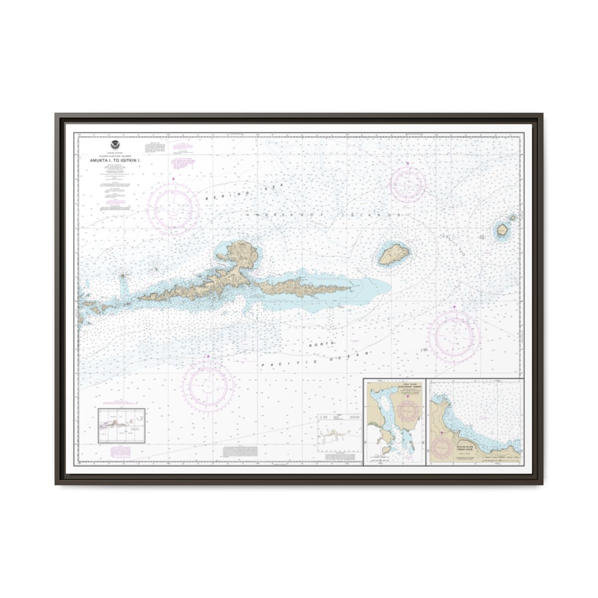Chart 16480 Amkta Island to Igitkin Island;Finch Cove Seguam Island;Sviechnikof Harbor, Amilia Island - NOAA Nautical Chart Floating Frame Canvas | 32" x 24" | 40" x 30" - Espresso front
