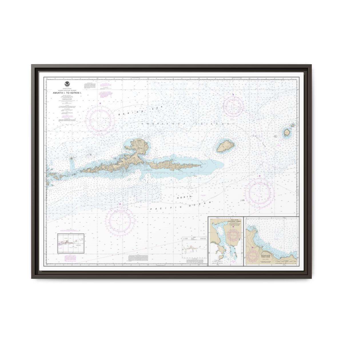 Chart 16480 Amkta Island to Igitkin Island;Finch Cove Seguam Island;Sviechnikof Harbor, Amilia Island - NOAA Nautical Chart Floating Frame Canvas | 32" x 24" | 40" x 30" - Espresso front