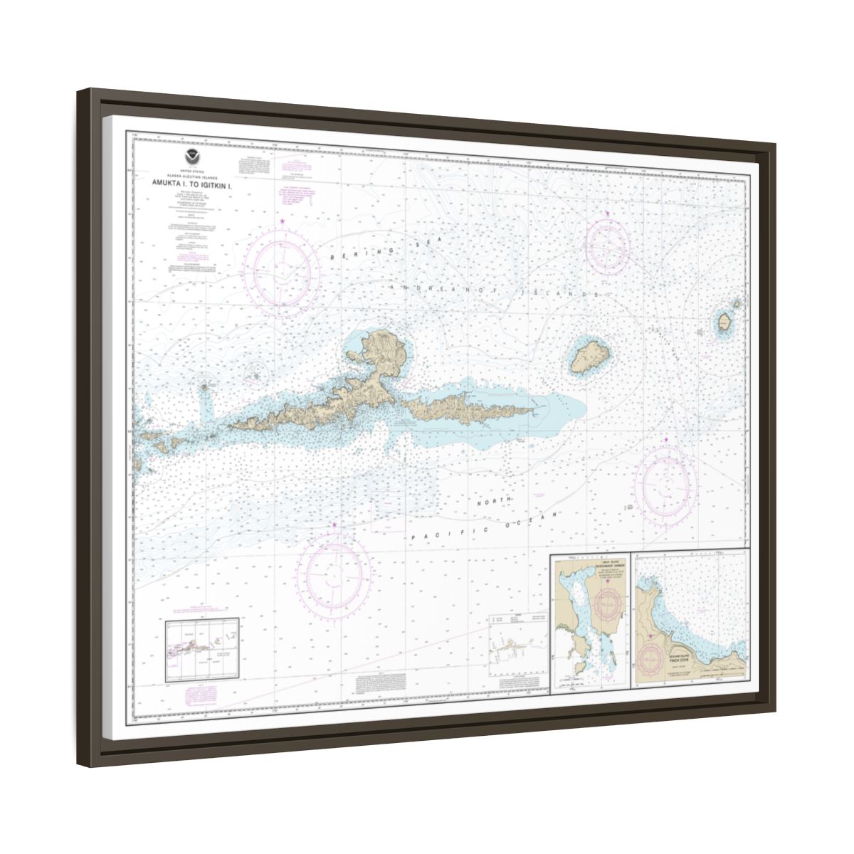 Chart 16480 Amkta Island to Igitkin Island;Finch Cove Seguam Island;Sviechnikof Harbor, Amilia Island - NOAA Nautical Chart Floating Frame Canvas | 32" x 24" | 40" x 30" - Espresso side