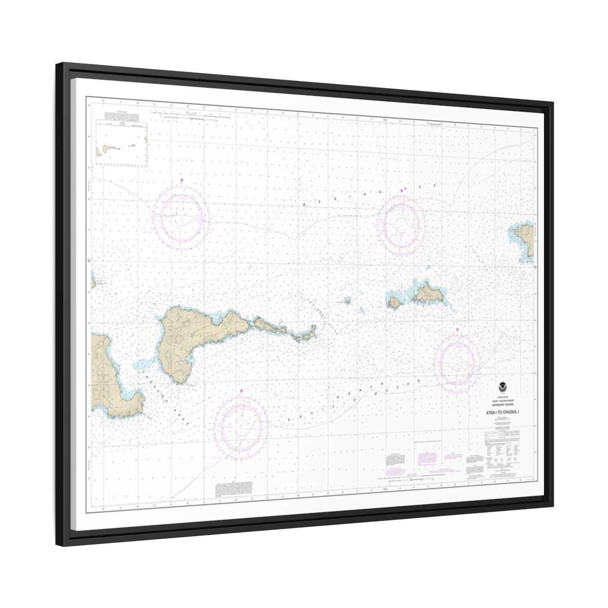 Chart 16484 Atka Island to Chugul Island Atka Island - NOAA Nautical Chart Floating Frame Canvas | 32" x 24" | 40" x 30" - Black side