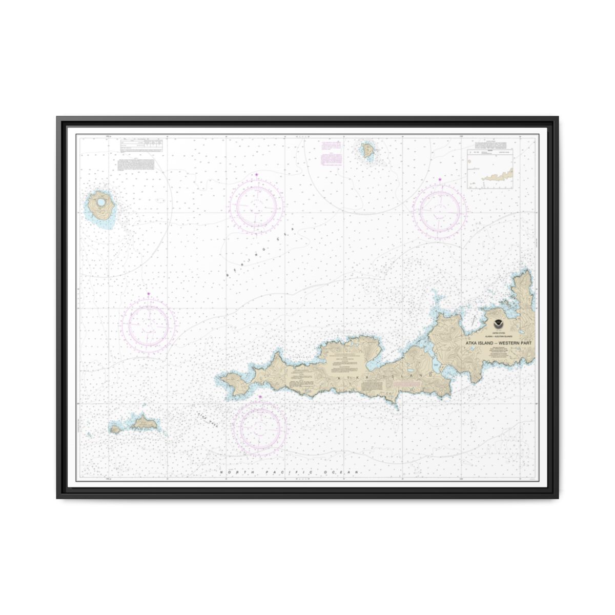 Chart 16486 Atka Island, western part - NOAA Nautical Chart Floating Frame Canvas | 32" x 24" | 40" x 30" - Black front