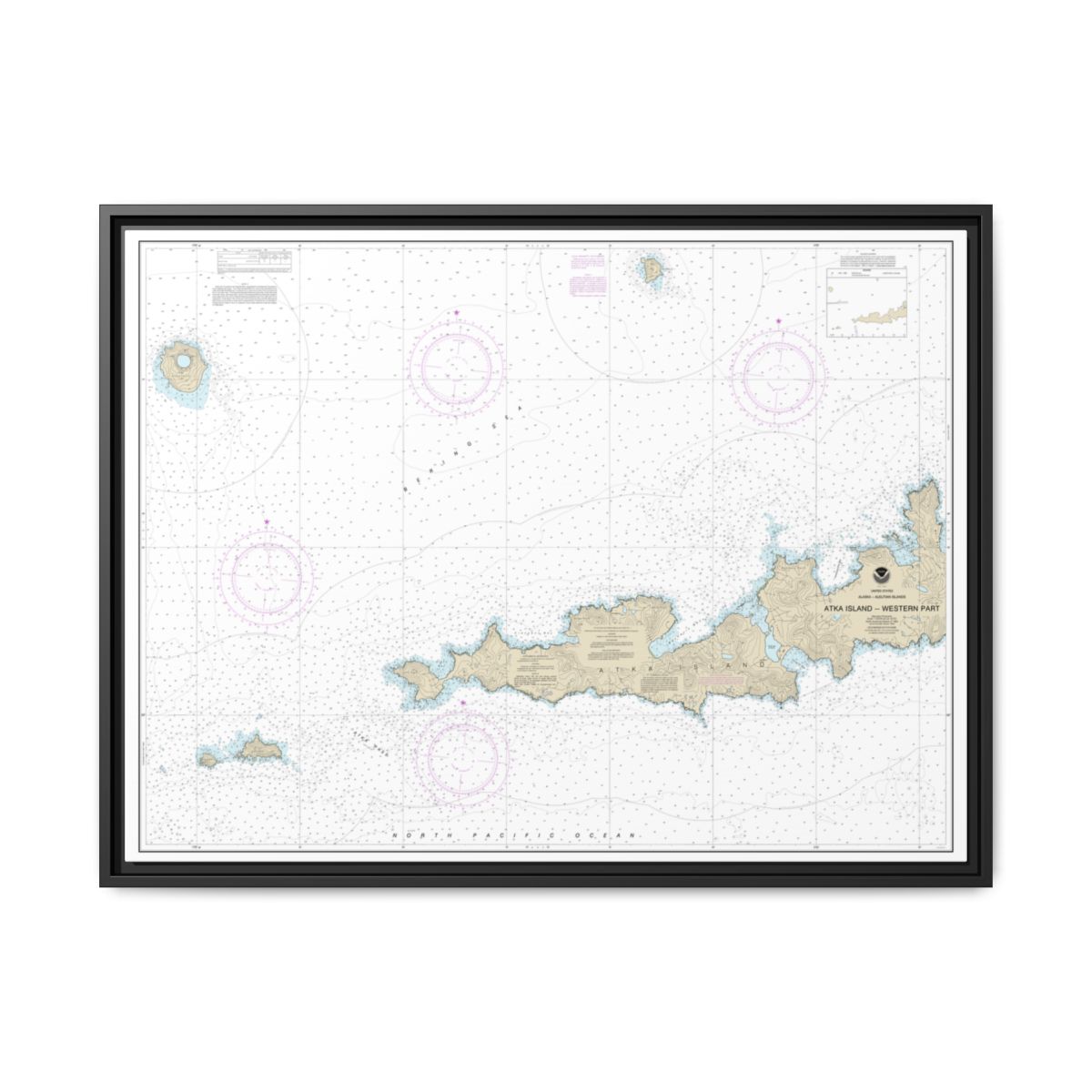 Chart 16486 Atka Island, western part - NOAA Nautical Chart Floating Frame Canvas | 32" x 24" | 40" x 30" - Black front