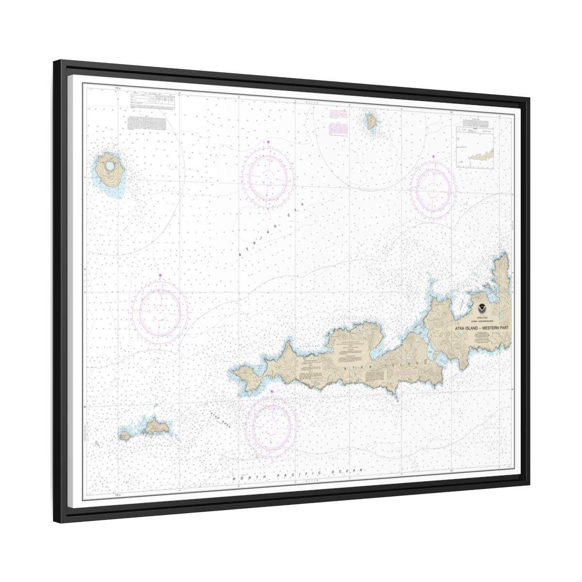 Chart 16486 Atka Island, western part - NOAA Nautical Chart Floating Frame Canvas | 32" x 24" | 40" x 30" - Black side