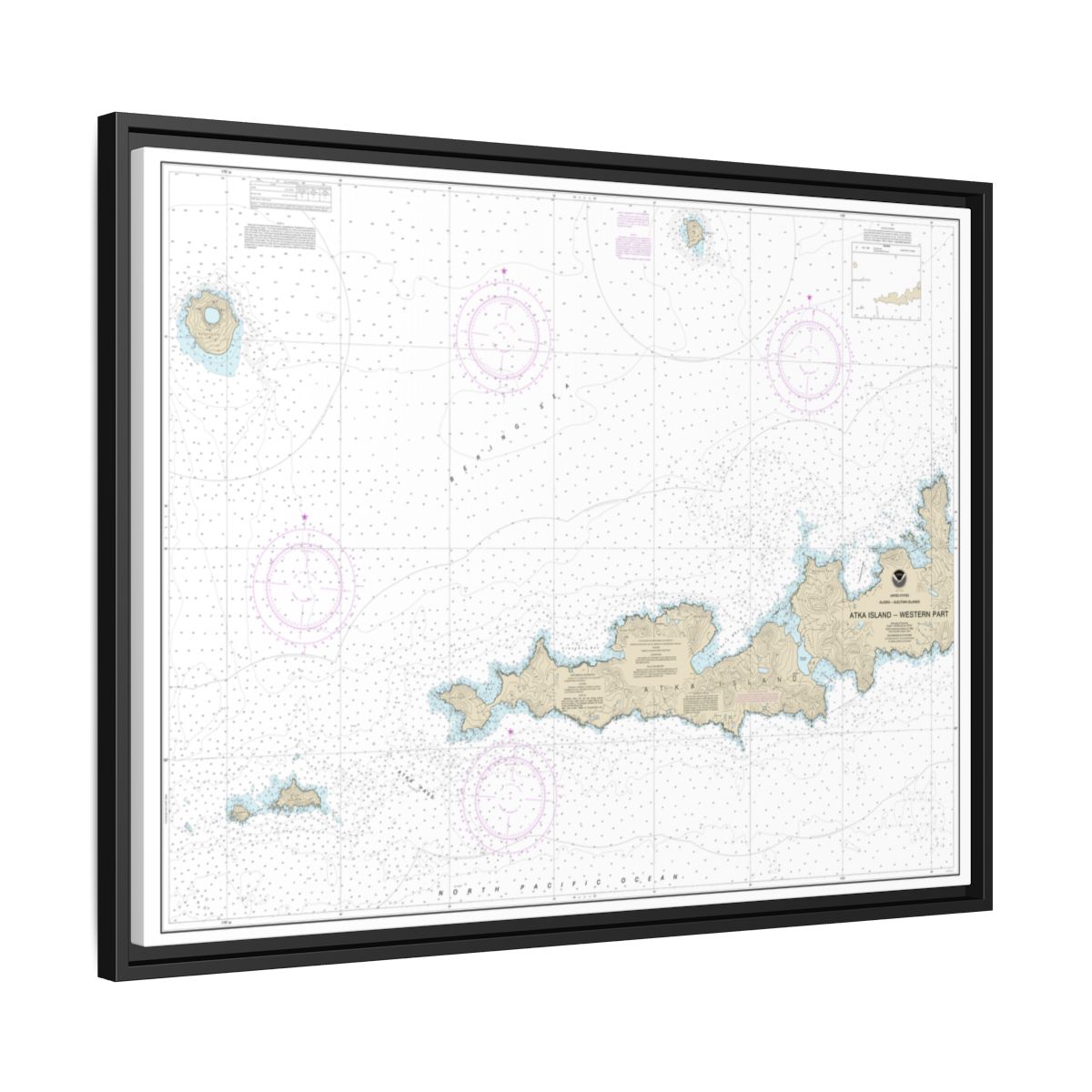 Chart 16486 Atka Island, western part - NOAA Nautical Chart Floating Frame Canvas | 32" x 24" | 40" x 30" - Black side