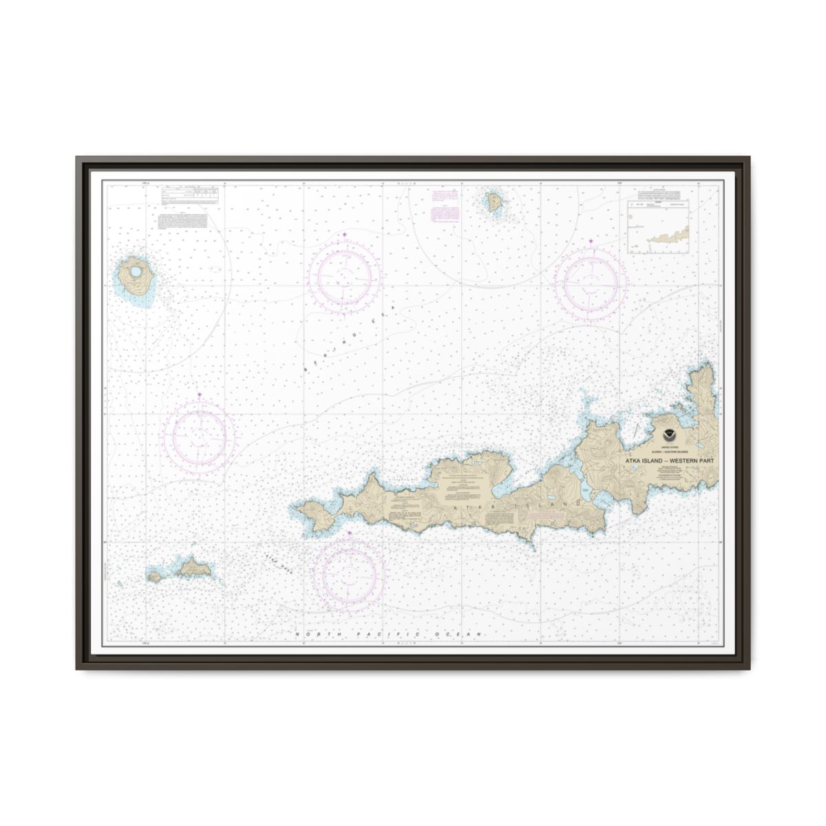 Chart 16486 Atka Island, western part - NOAA Nautical Chart Floating Frame Canvas | 32" x 24" | 40" x 30" - Espresso front