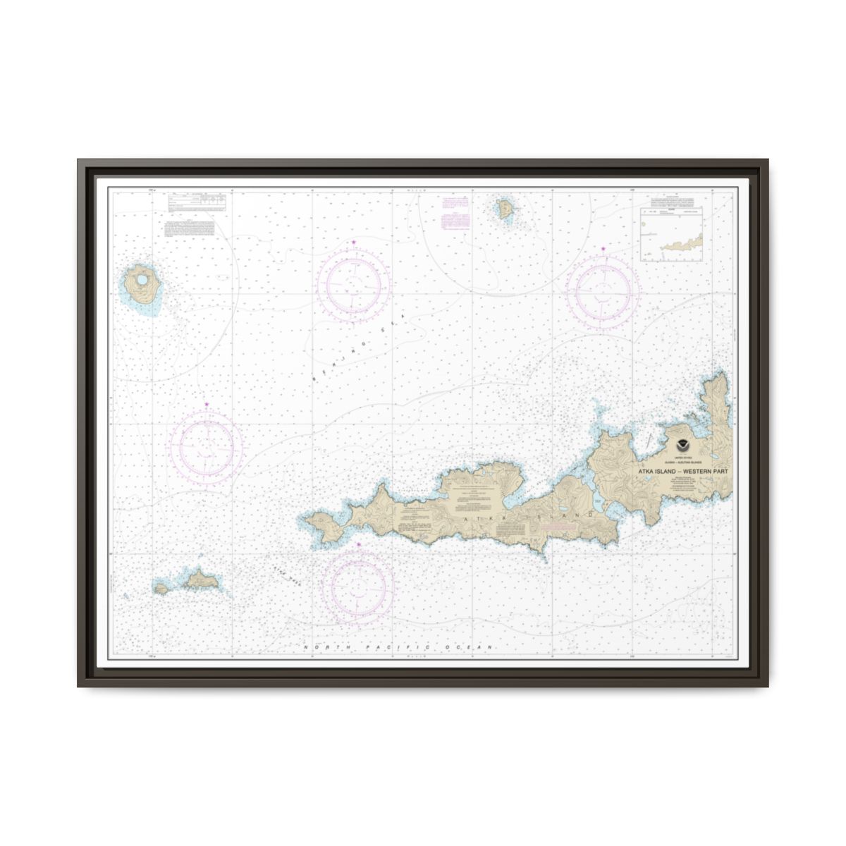 Chart 16486 Atka Island, western part - NOAA Nautical Chart Floating Frame Canvas | 32" x 24" | 40" x 30" - Espresso front