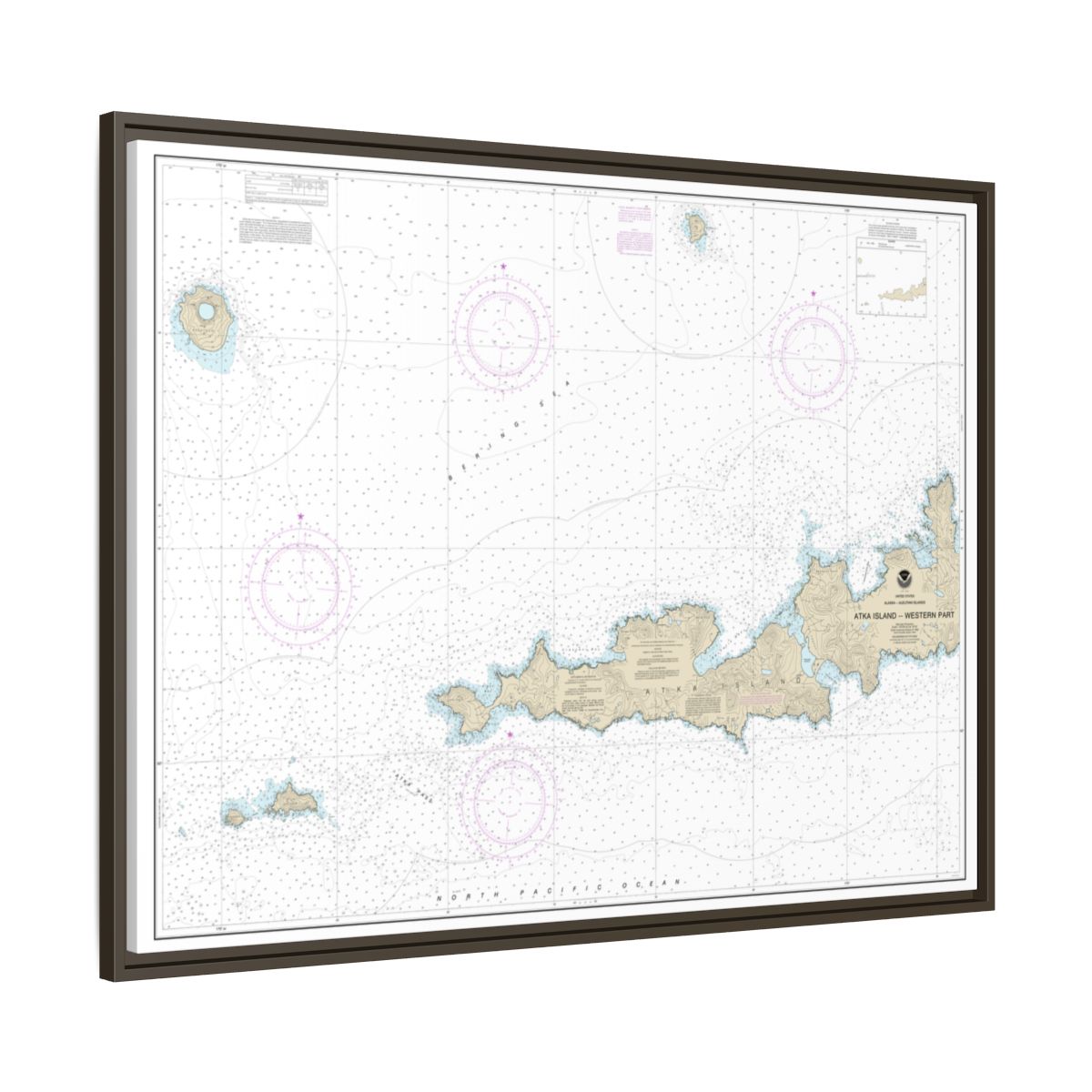 Chart 16486 Atka Island, western part - NOAA Nautical Chart Floating Frame Canvas | 32" x 24" | 40" x 30" - Espresso side