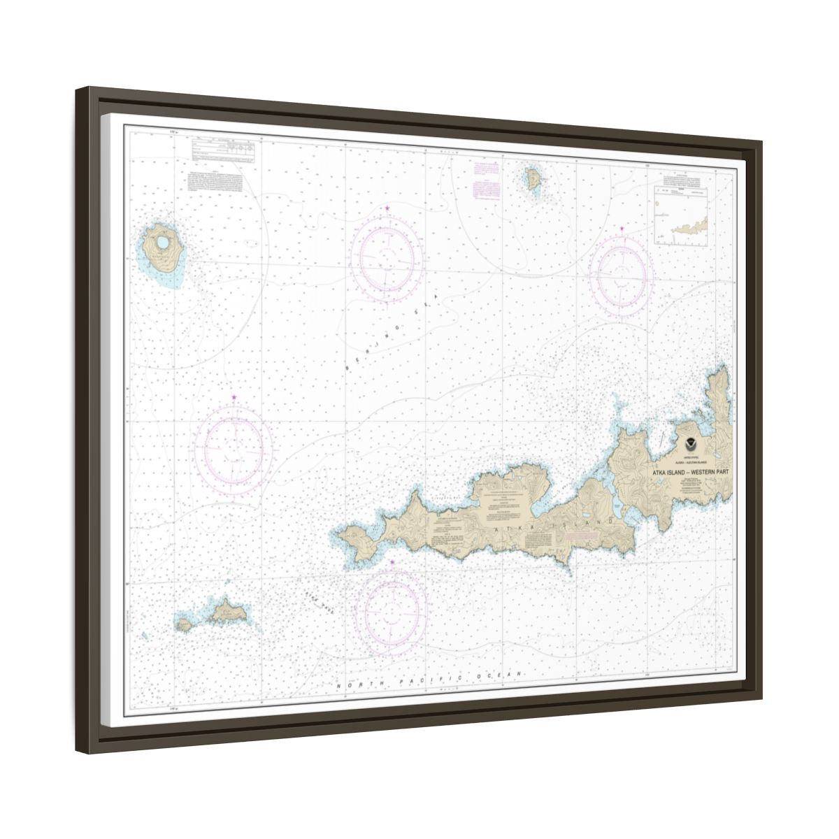 Chart 16486 Atka Island, western part - NOAA Nautical Chart Floating Frame Canvas | 32" x 24" | 40" x 30" - Espresso side