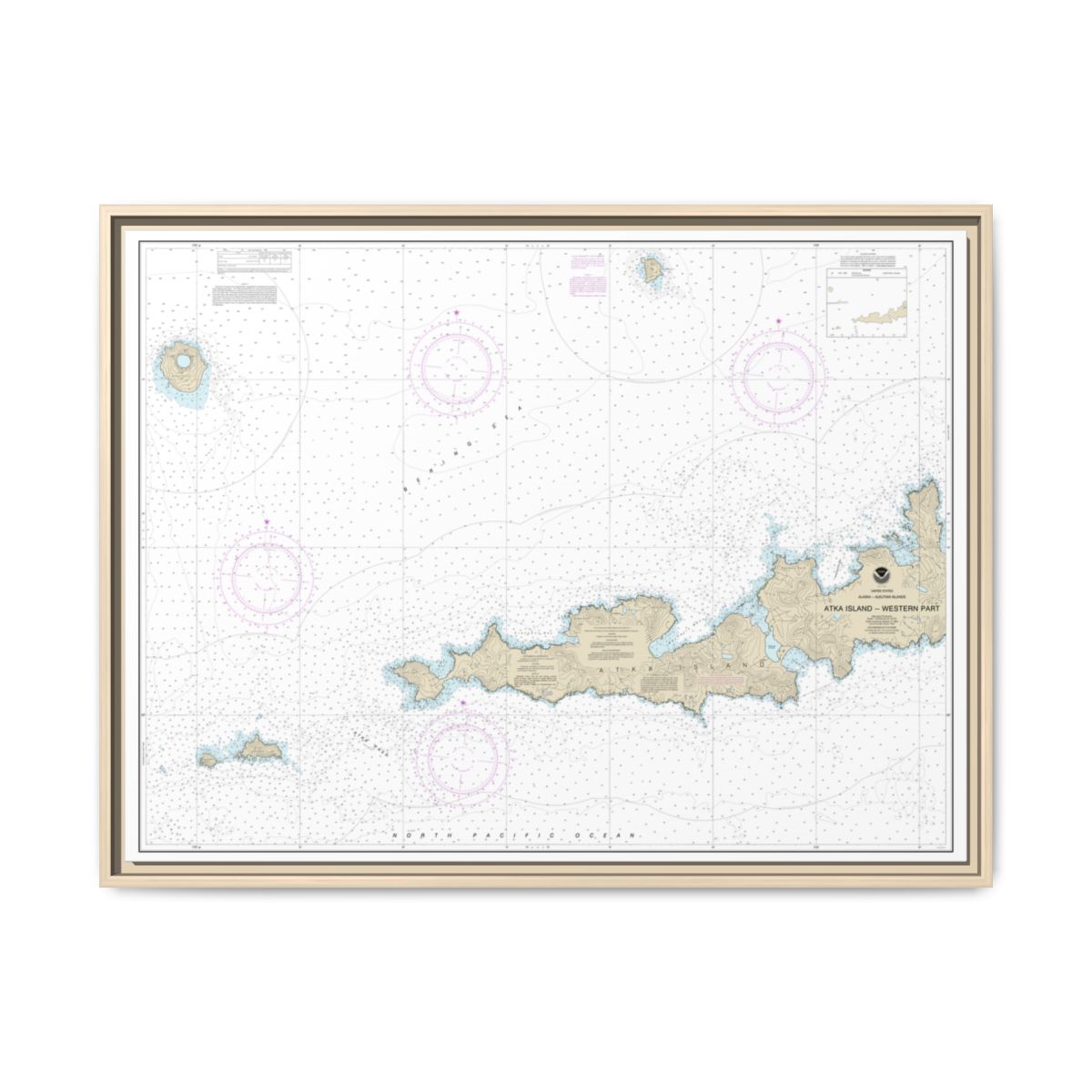 Chart 16486 Atka Island, western part - NOAA Nautical Chart Floating Frame Canvas | 32" x 24" | 40" x 30" - Natural front
