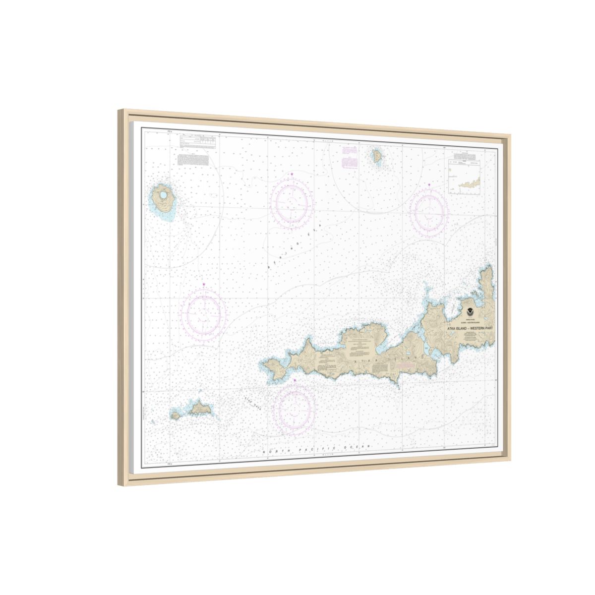 Chart 16486 Atka Island, western part - NOAA Nautical Chart Floating Frame Canvas | 32" x 24" | 40" x 30" - Natural side