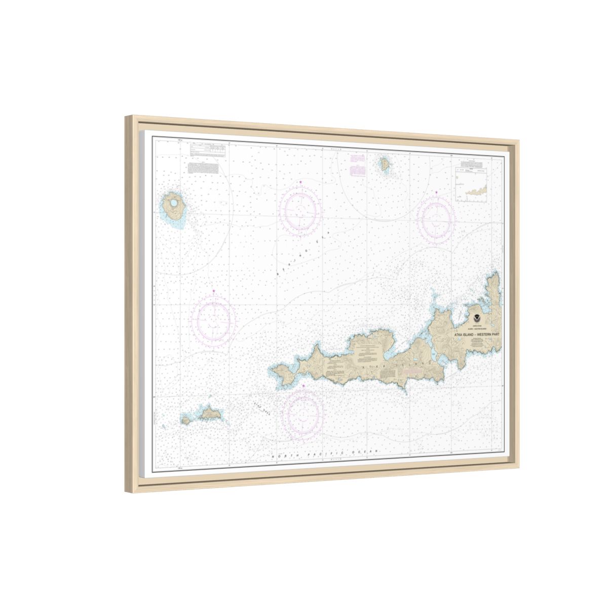 Chart 16486 Atka Island, western part - NOAA Nautical Chart Floating Frame Canvas | 32" x 24" | 40" x 30" - Natural side