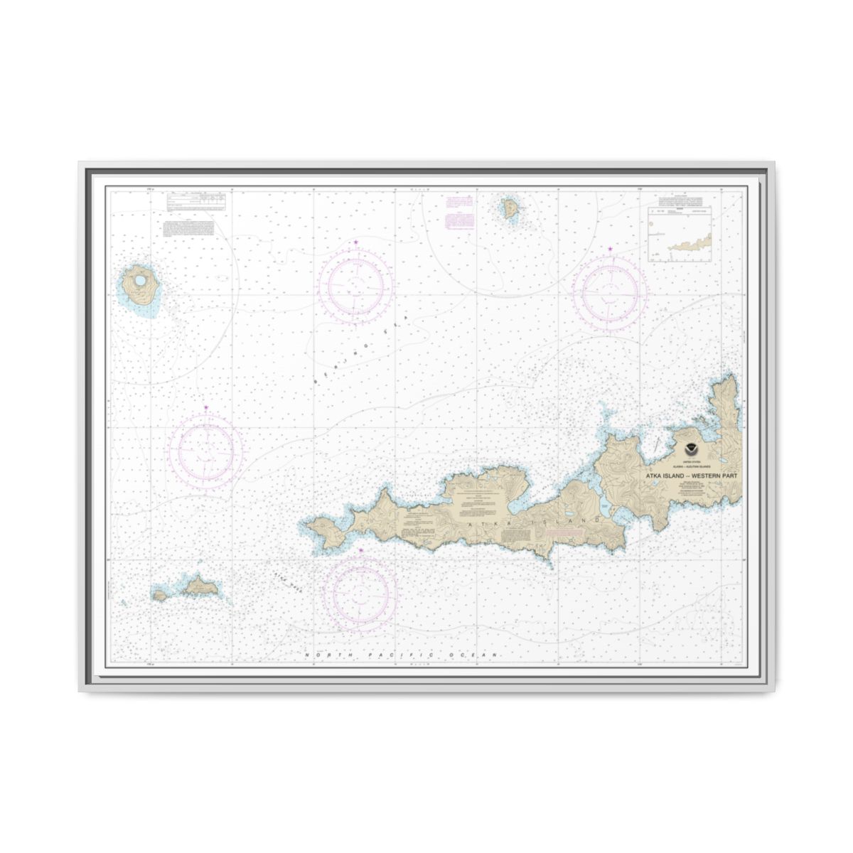 Chart 16486 Atka Island, western part - NOAA Nautical Chart Floating Frame Canvas | 32" x 24" | 40" x 30" - White front