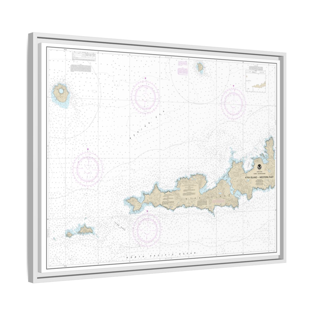 Chart 16486 Atka Island, western part - NOAA Nautical Chart Floating Frame Canvas | 32" x 24" | 40" x 30" - White side