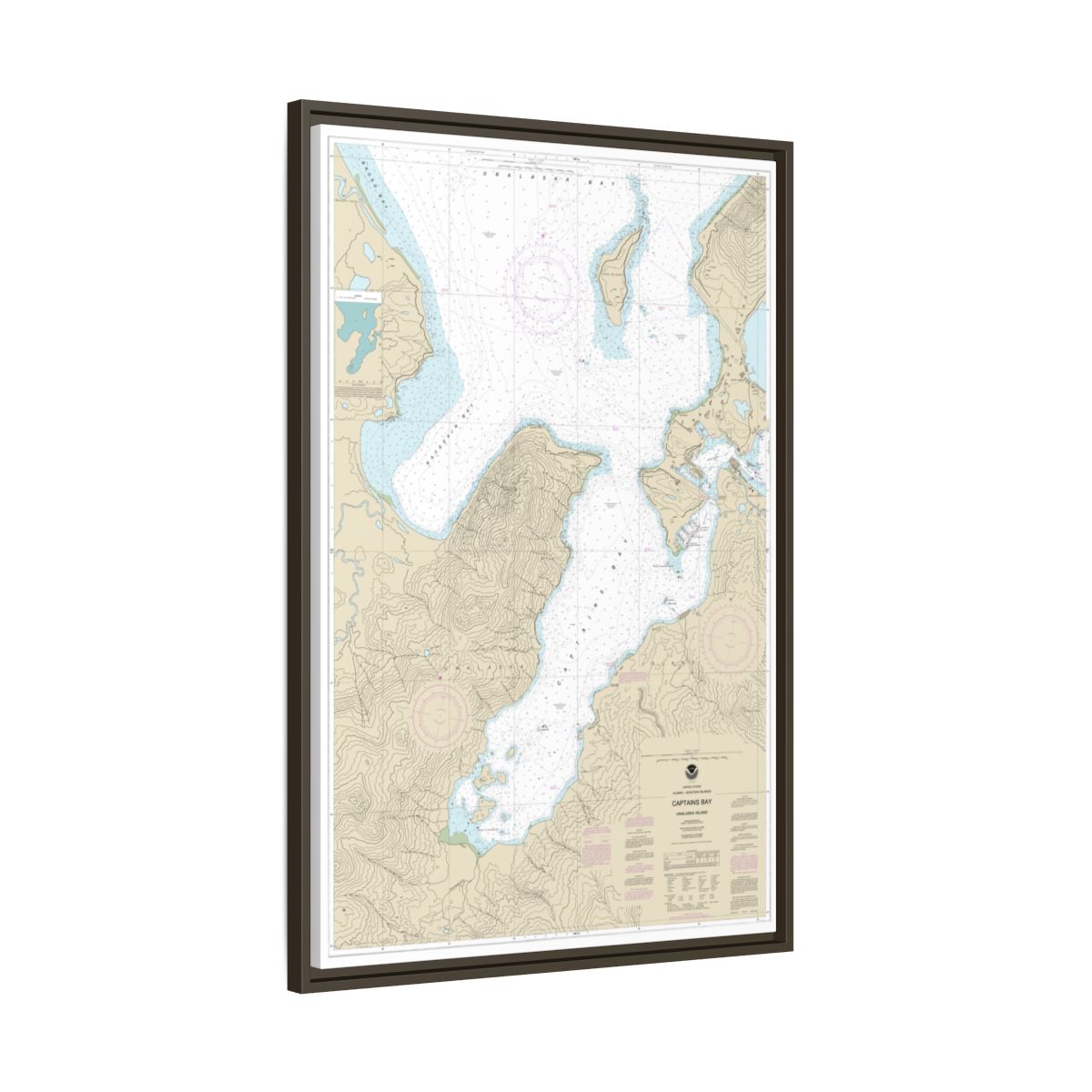 Chart 16530 Captains Bay - NOAA Nautical Chart Floating Frame Canvas | 20" x 30" | 24" x 36" | 32" x 48" - Espresso side
