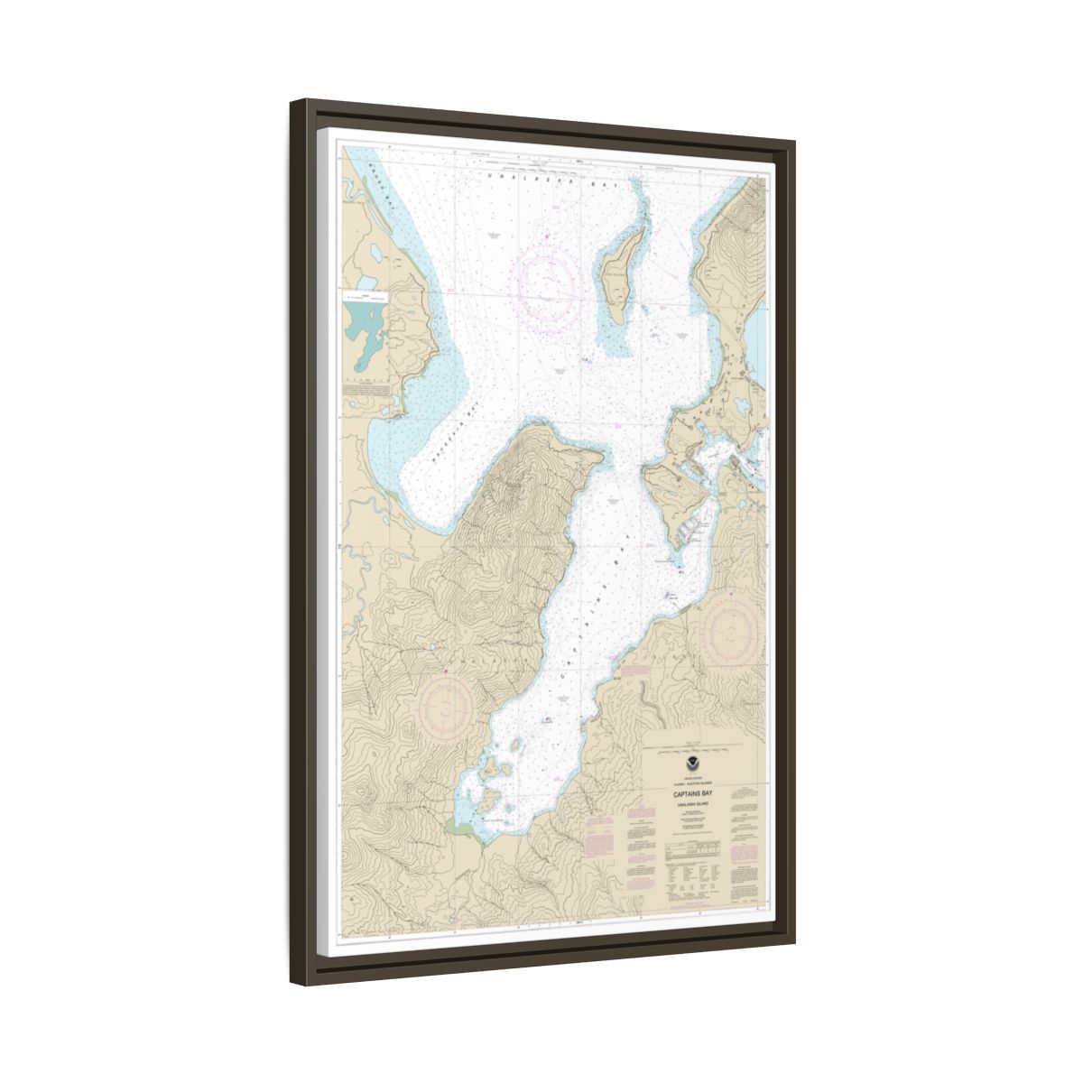 Chart 16530 Captains Bay - NOAA Nautical Chart Floating Frame Canvas | 20" x 30" | 24" x 36" | 32" x 48" - Espresso side