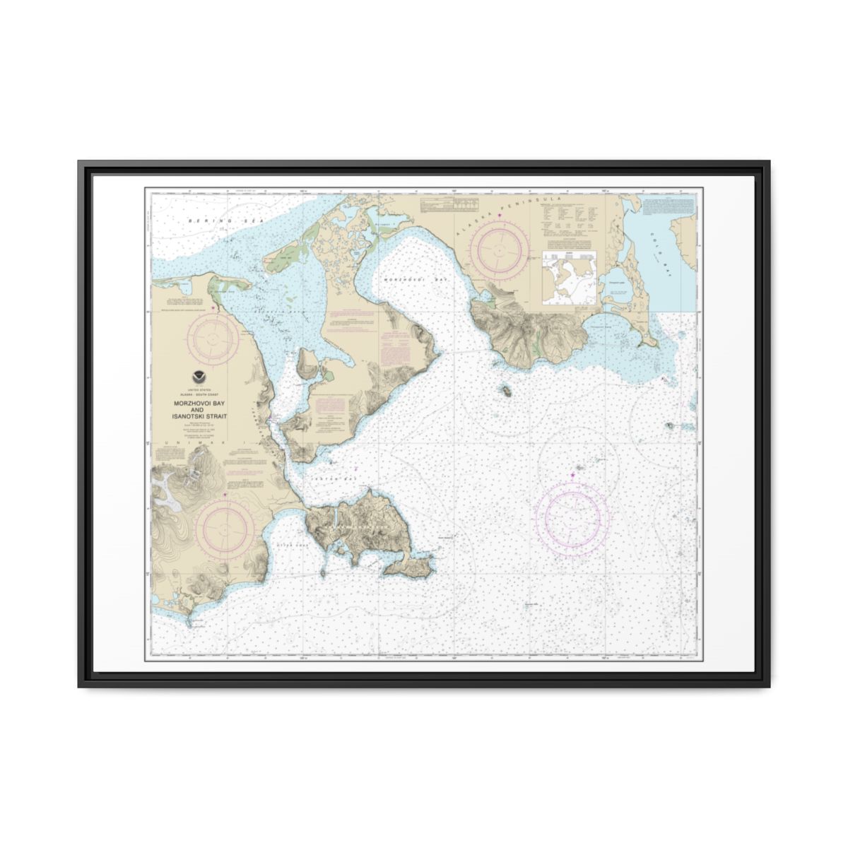 Chart 16535 Morzhovoi Bay and Isanotski Strait - NOAA Nautical Chart Floating Frame Canvas | 32" x 24" | 40" x 30" - Black front