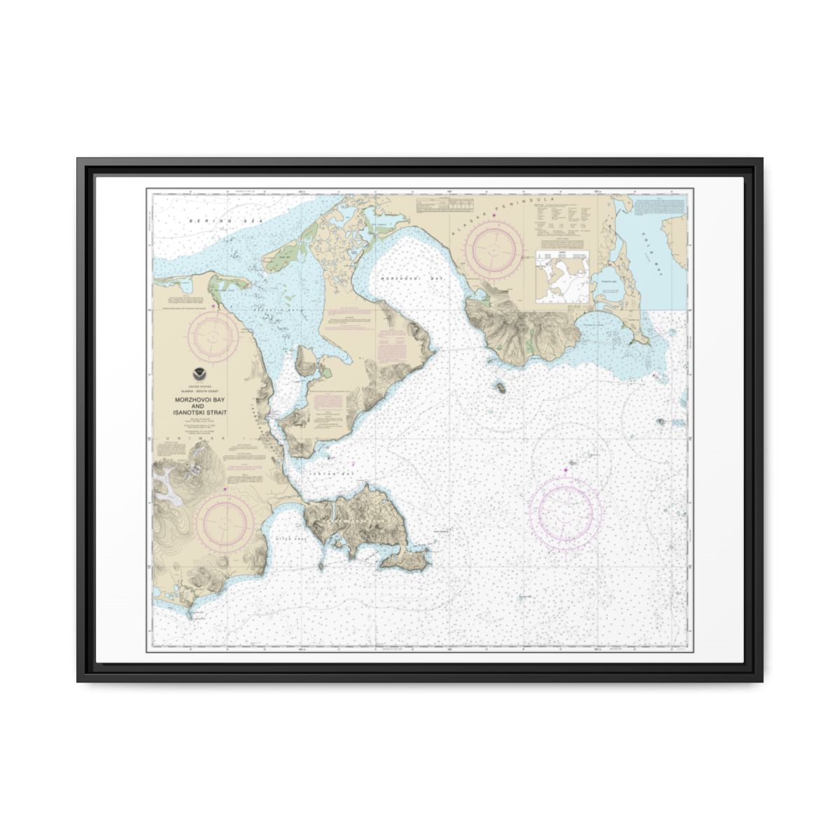Chart 16535 Morzhovoi Bay and Isanotski Strait - NOAA Nautical Chart Floating Frame Canvas | 32" x 24" | 40" x 30" - Black front