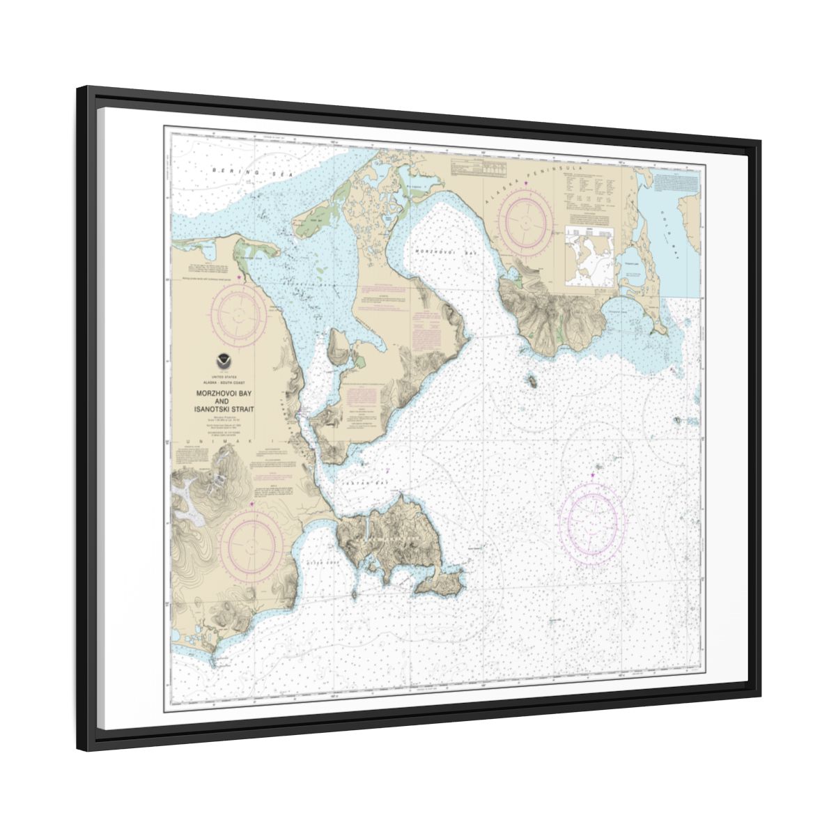 Chart 16535 Morzhovoi Bay and Isanotski Strait - NOAA Nautical Chart Floating Frame Canvas | 32" x 24" | 40" x 30" - Black side