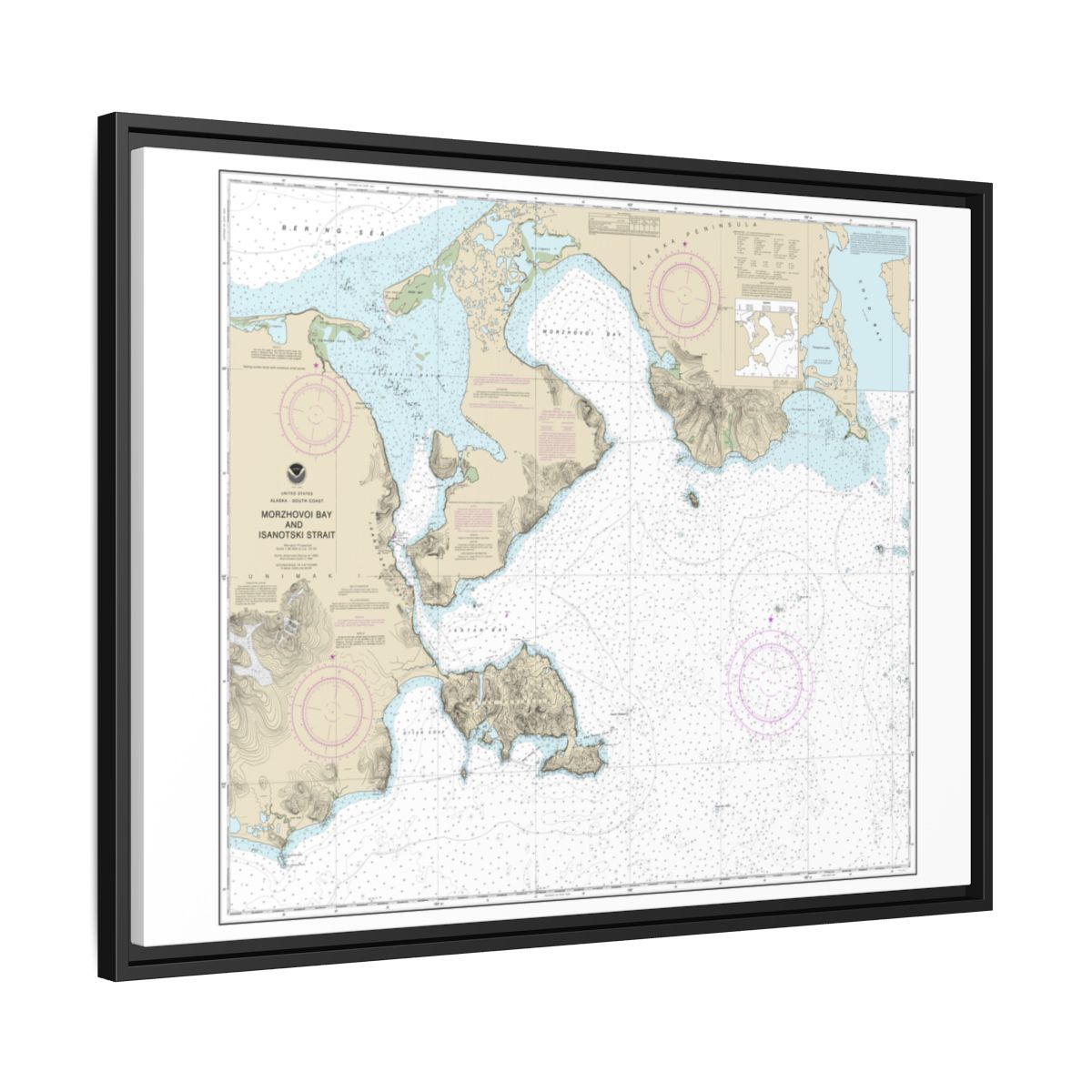 Chart 16535 Morzhovoi Bay and Isanotski Strait - NOAA Nautical Chart Floating Frame Canvas | 32" x 24" | 40" x 30" - Black side