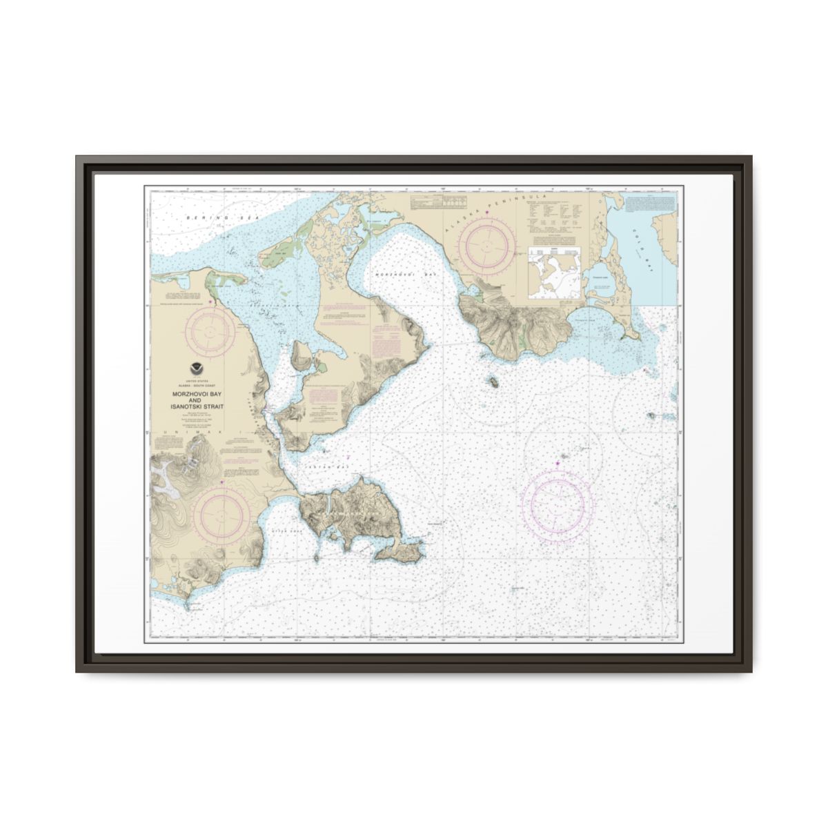 Chart 16535 Morzhovoi Bay and Isanotski Strait - NOAA Nautical Chart Floating Frame Canvas | 32" x 24" | 40" x 30" - Espresso front