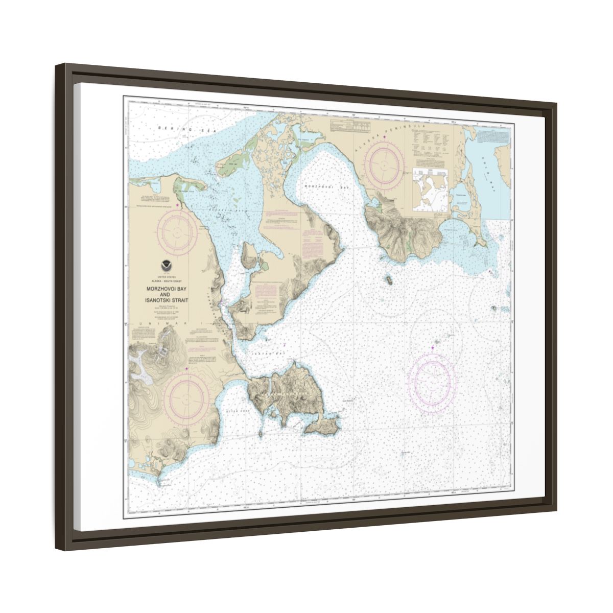 Chart 16535 Morzhovoi Bay and Isanotski Strait - NOAA Nautical Chart Floating Frame Canvas | 32" x 24" | 40" x 30" - Espresso side