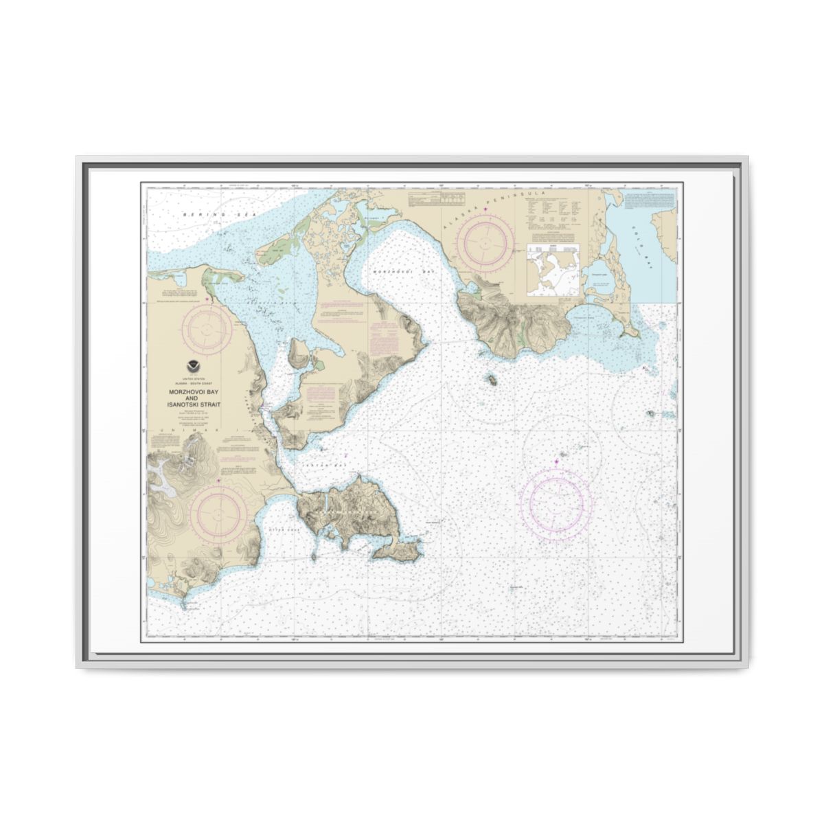Chart 16535 Morzhovoi Bay and Isanotski Strait - NOAA Nautical Chart Floating Frame Canvas | 32" x 24" | 40" x 30" - White front