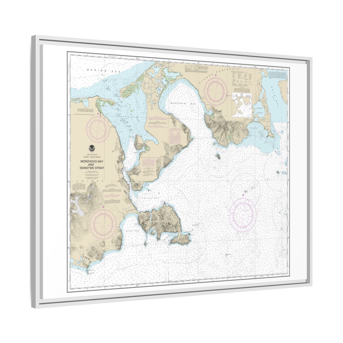 Chart 16535 Morzhovoi Bay and Isanotski Strait - NOAA Nautical Chart Floating Frame Canvas | 32" x 24" | 40" x 30" - White side