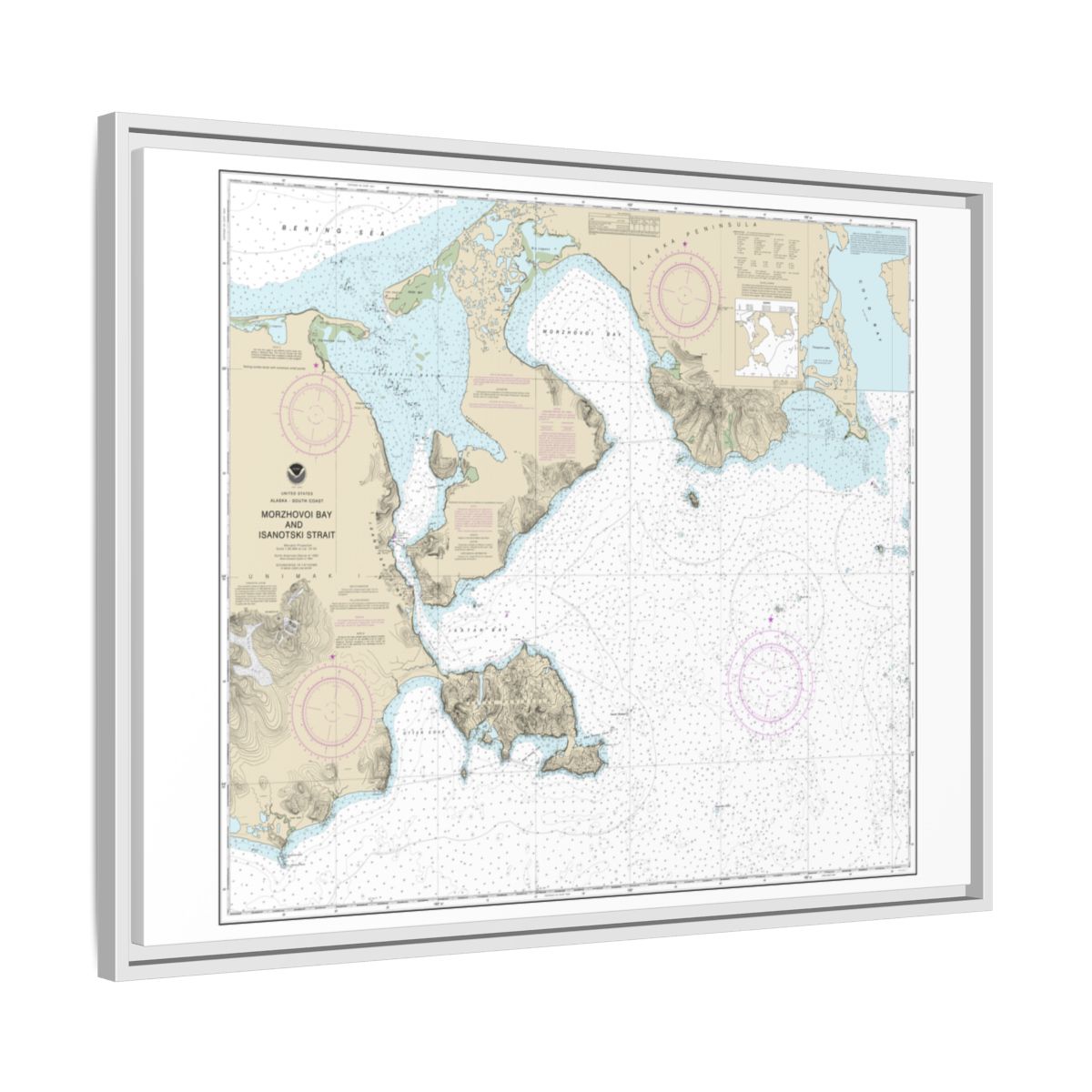 Chart 16535 Morzhovoi Bay and Isanotski Strait - NOAA Nautical Chart Floating Frame Canvas | 32" x 24" | 40" x 30" - White side