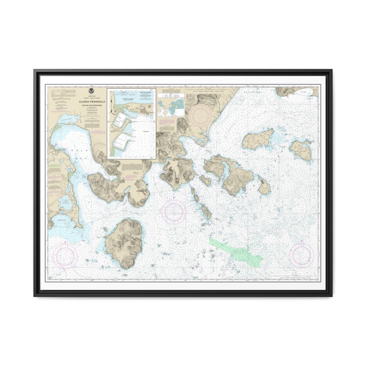 Chart 16549 Cold Bay and approaches, Alaska Pen.;King Cove Harbor - NOAA Nautical Chart Floating Frame Canvas | 32" x 24" | 40" x 30" - Black front