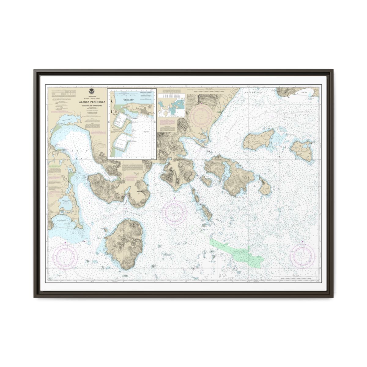 Chart 16549 Cold Bay and approaches, Alaska Pen.;King Cove Harbor - NOAA Nautical Chart Floating Frame Canvas | 32" x 24" | 40" x 30" - Espresso front