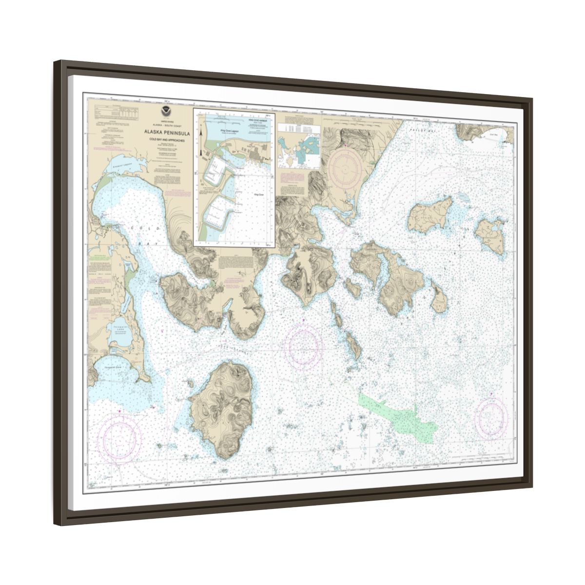 Chart 16549 Cold Bay and approaches, Alaska Pen.;King Cove Harbor - NOAA Nautical Chart Floating Frame Canvas | 32" x 24" | 40" x 30" - Espresso side