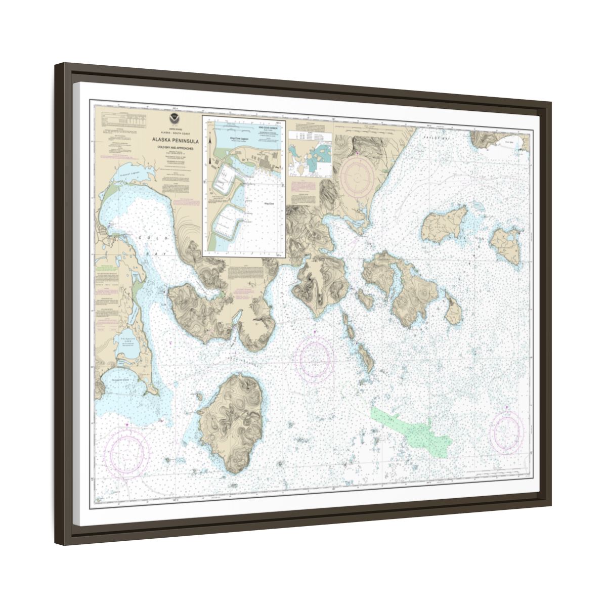 Chart 16549 Cold Bay and approaches, Alaska Pen.;King Cove Harbor - NOAA Nautical Chart Floating Frame Canvas | 32" x 24" | 40" x 30" - Espresso side